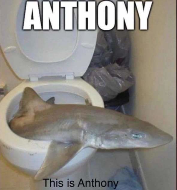 anthony - meme
