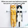 For the cat lovers