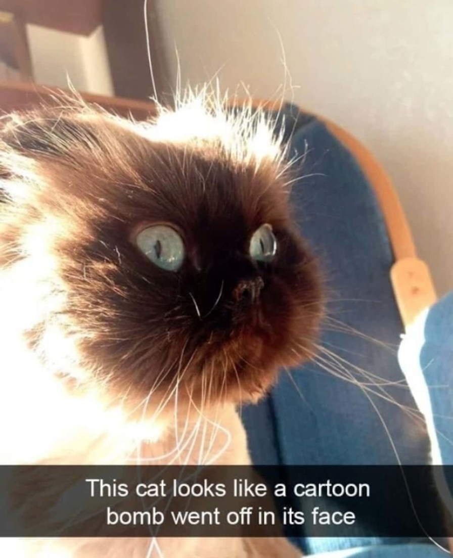 KABOOM!!!!! - meme