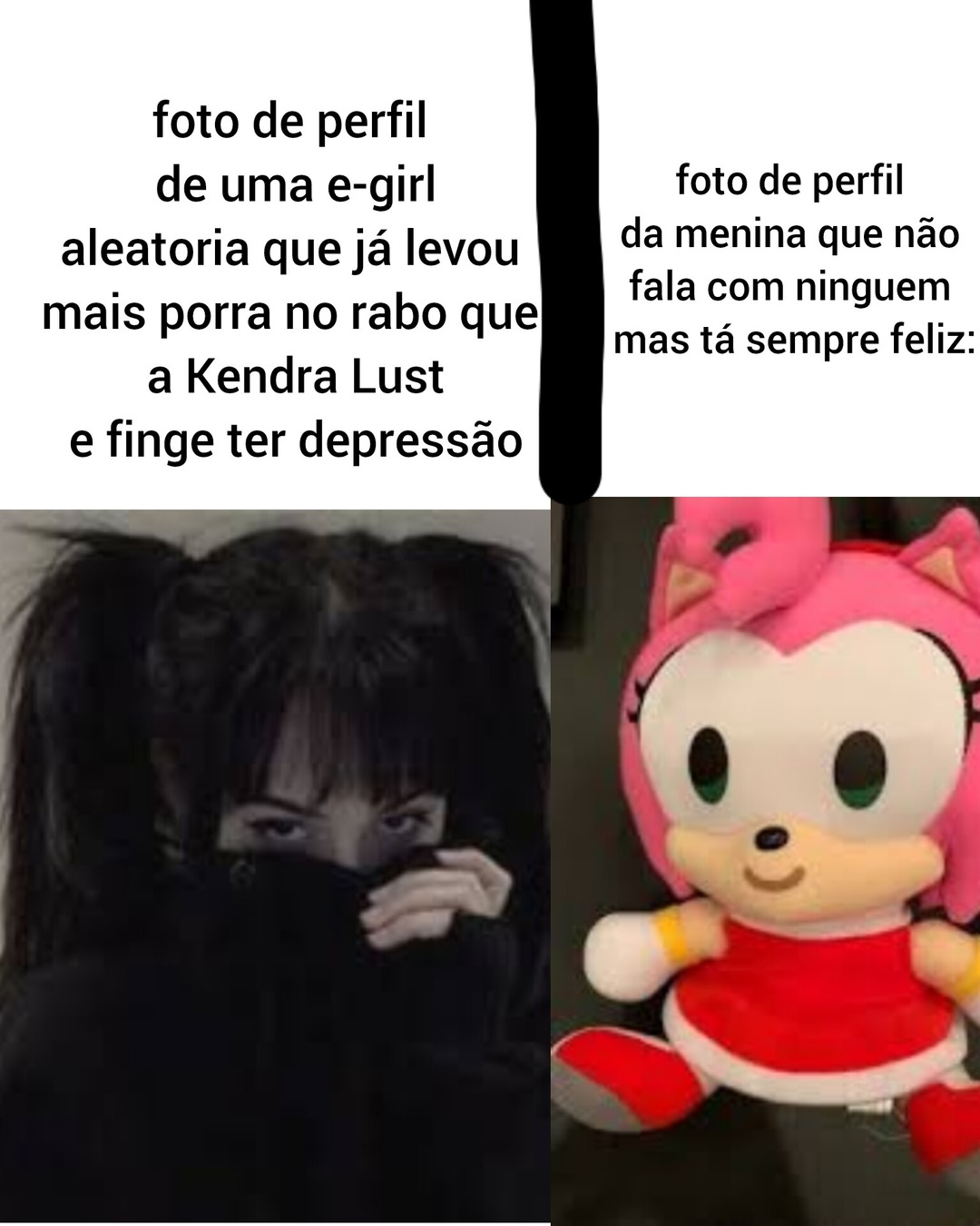 Odeio e girls e goticas - meme