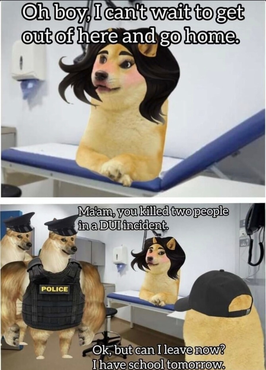Ma’am, you committed a DUI. Her: ok but I got school tomorrow - meme