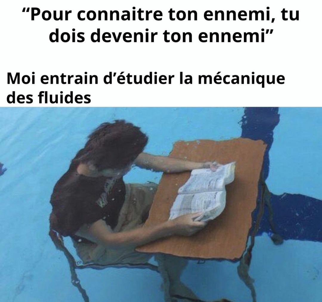 moi qui deviens le fluide pour capter la méca des fluides - meme