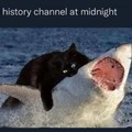 History channel