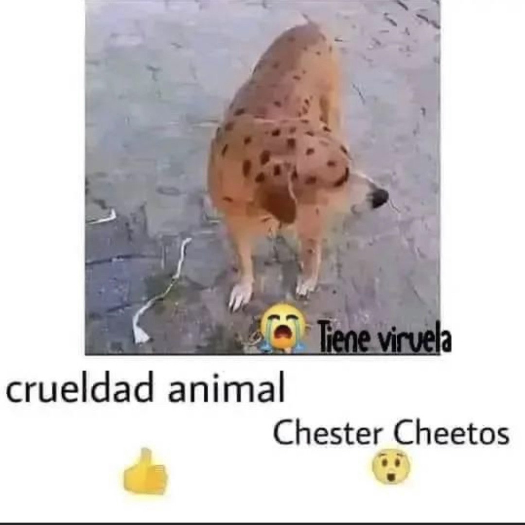 Chester Cheetos - meme