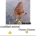 Chester Cheetos