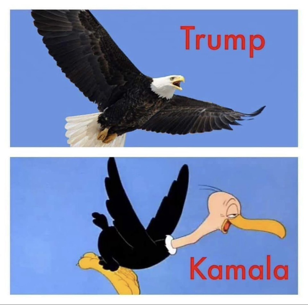 Just trying to trigger certain people with this one... - meme