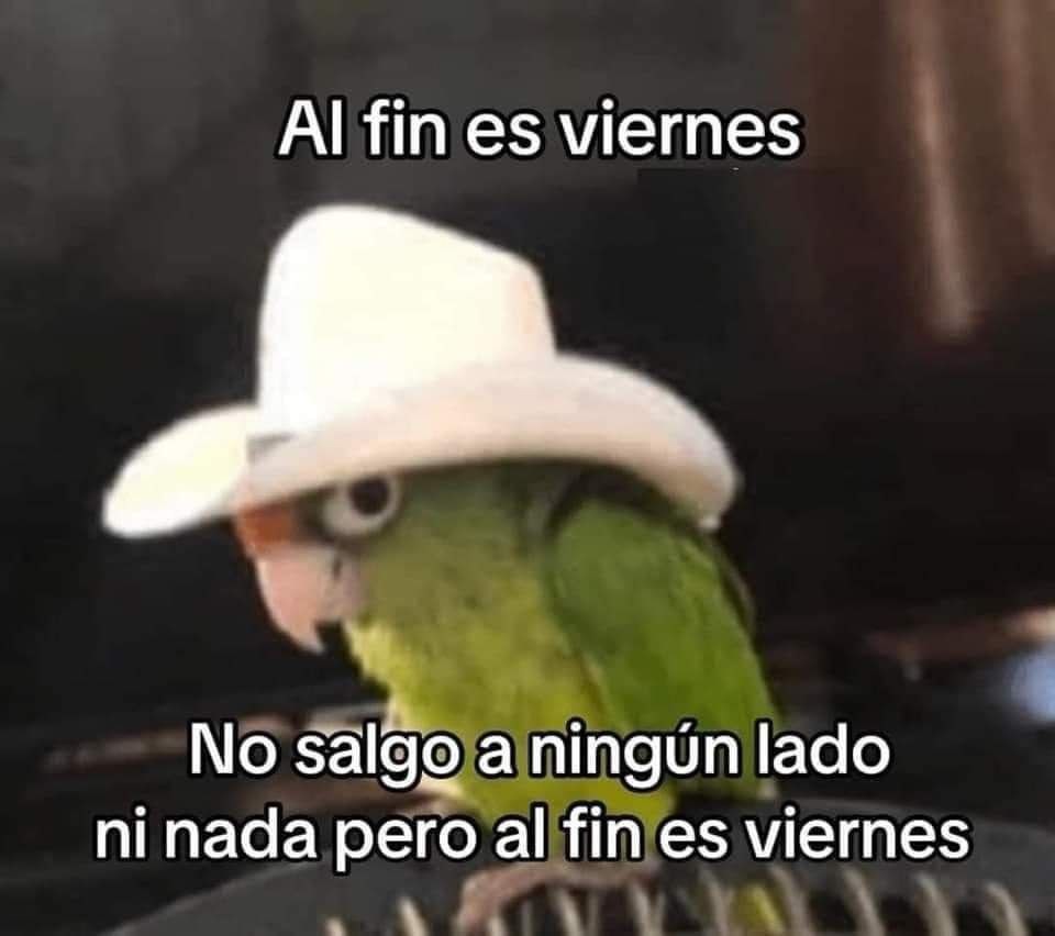 A fin es viernes - meme