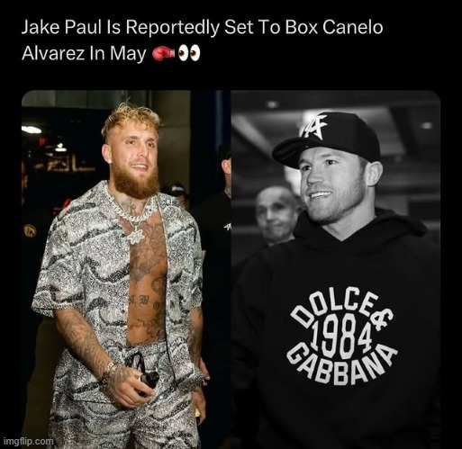 Jake Paul vs Canelo boxing match meme