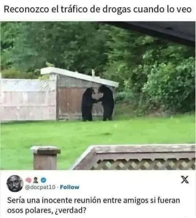hola - meme