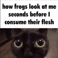 hmmm yummy frog