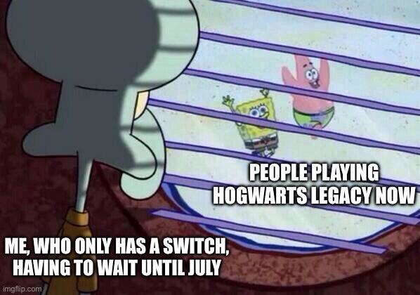 Nintendo users waiting for Hogwarts legacy - meme