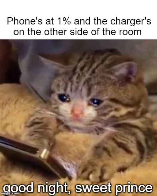 Crying cat meme