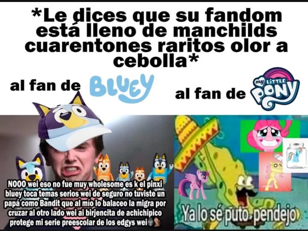 pues como los bronys tienen mas de una decada siendo burlados y criticados, ademas de tener a chris chan ahi, supongo que ya estaran mas que acostumbrados que les digan asi - meme