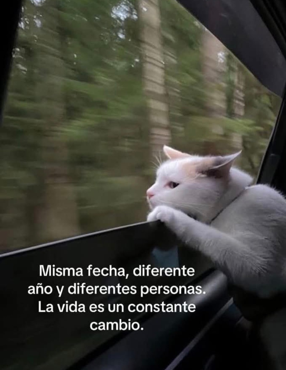 Misma fecha, distinto año y diferente gente - meme