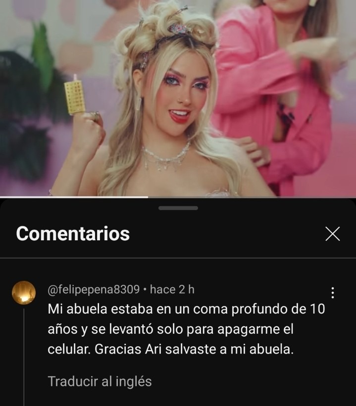 Zzz la canción de ari - meme