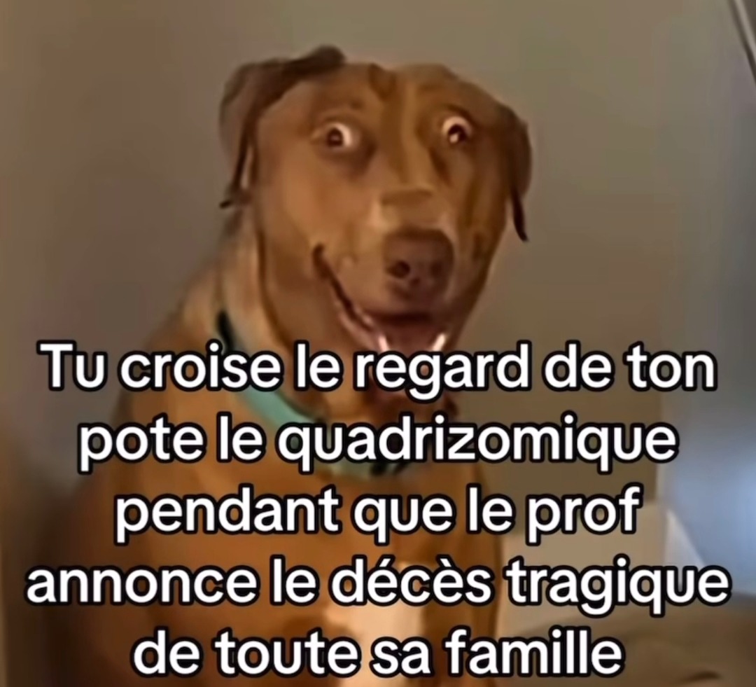 Quand ton pote te regarde au pire moment du discours tragique du prof - meme