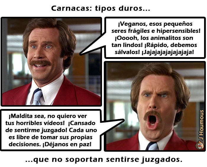 Fragilidad - meme