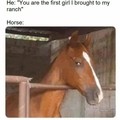 The horse knows all