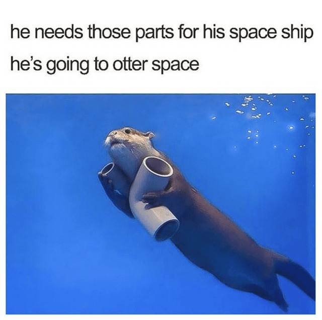 Wholesome otter joke meme