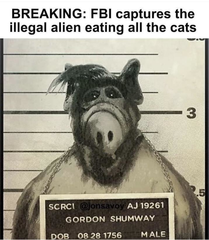 Alf got caught - meme