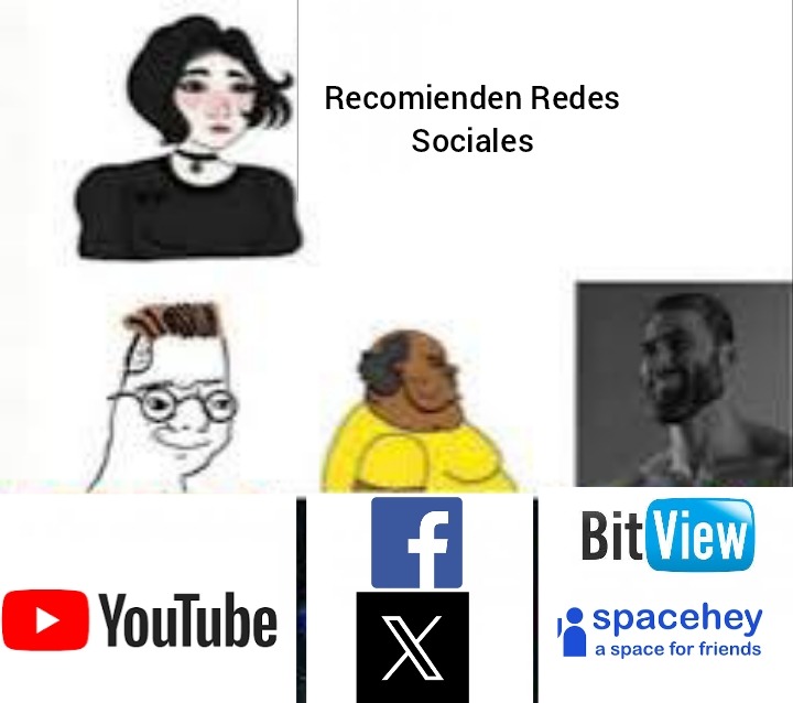 En Mí Opinión Las Redes Sociales Con Interfaz O Características Retro Son Las Mejores - meme
