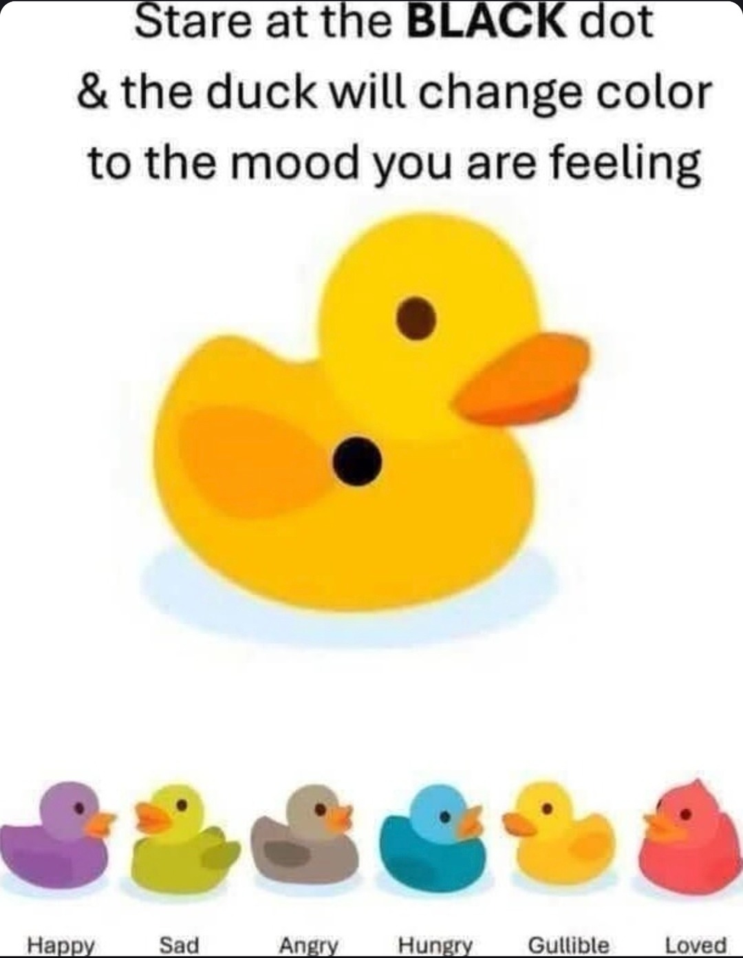 Stare at the dot. The duck knows your vibe - meme