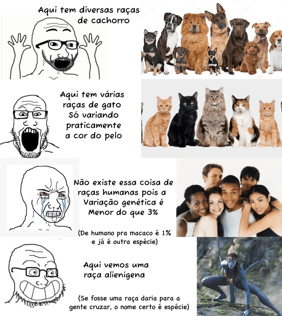 Que comece a treta - meme