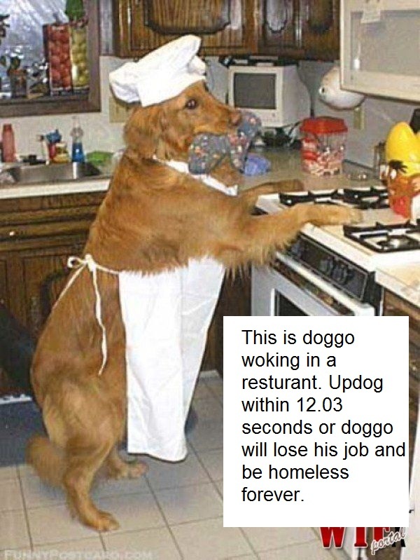 Don't let doggo lose his job! - meme