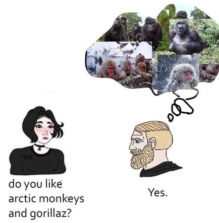 Arctic Monke - meme