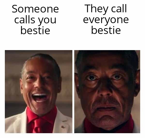 Someone calls you bestie - meme