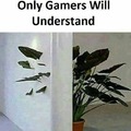 Only for gamers