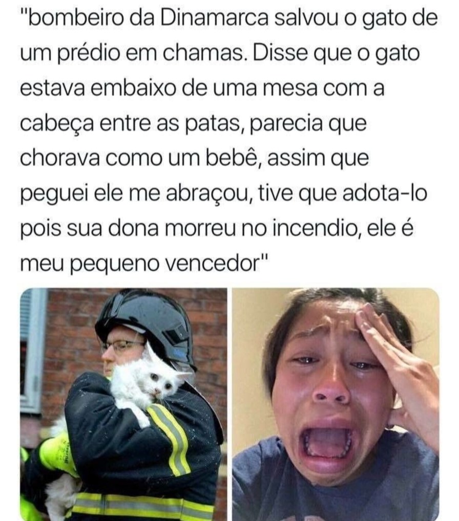 Bombeiros Dinamarquês - meme