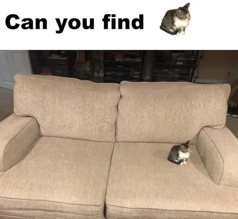 Find it - meme