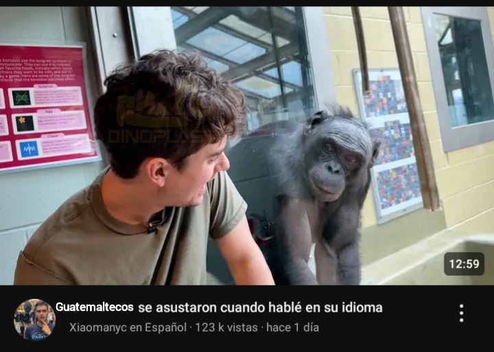 Por si quieren ver el vídeo: https://youtu.be/gXNF7Smozdc?si=Zz2XwNgvjler3AB1 - meme