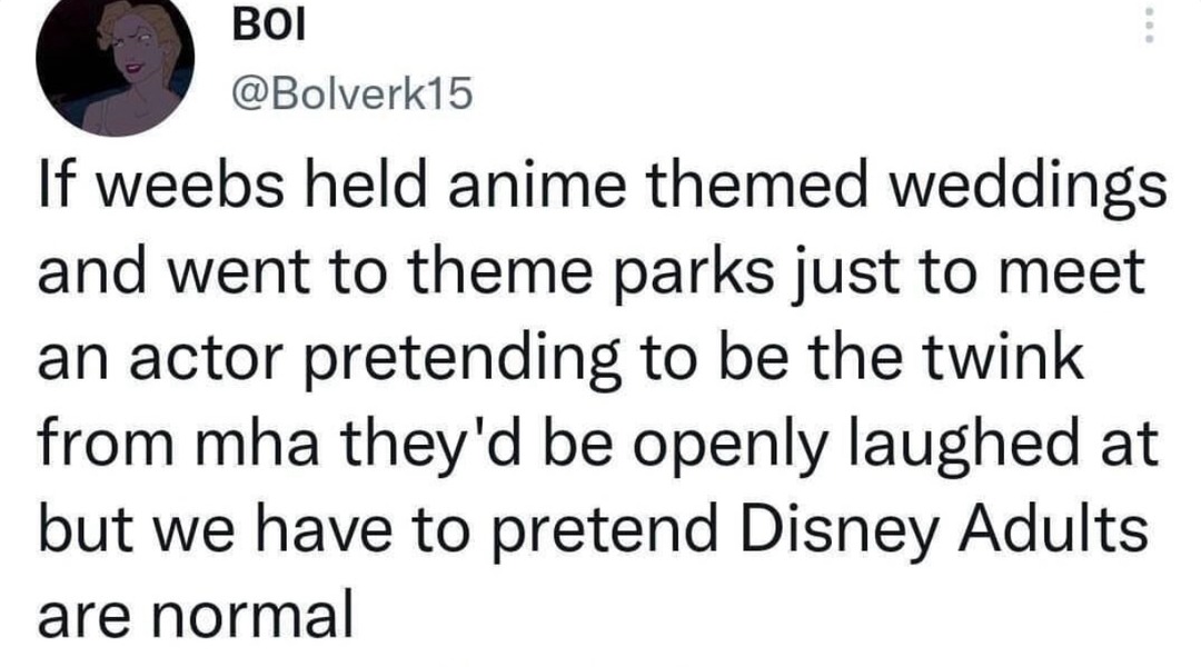 Weeb weddings mocked but Disney adults get a pass - meme