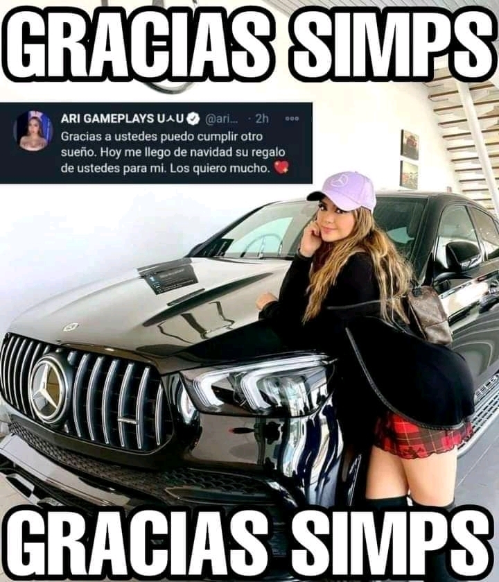 GRACIAS SIMPS - meme