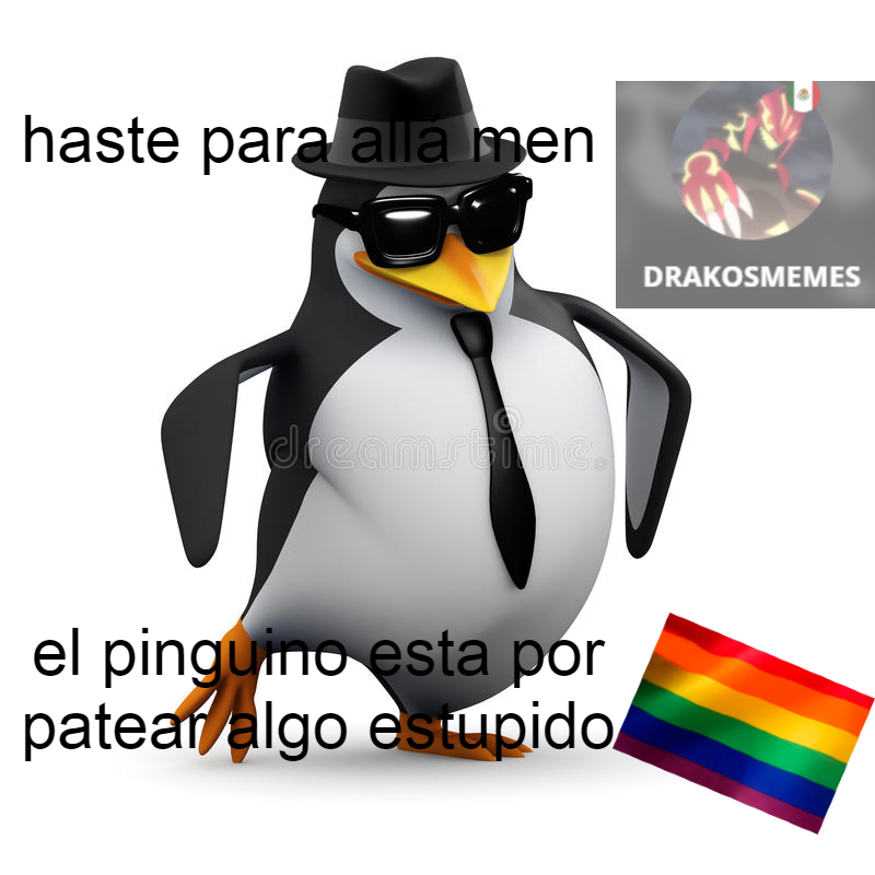 el pinguino no es osol, osol es gei - meme