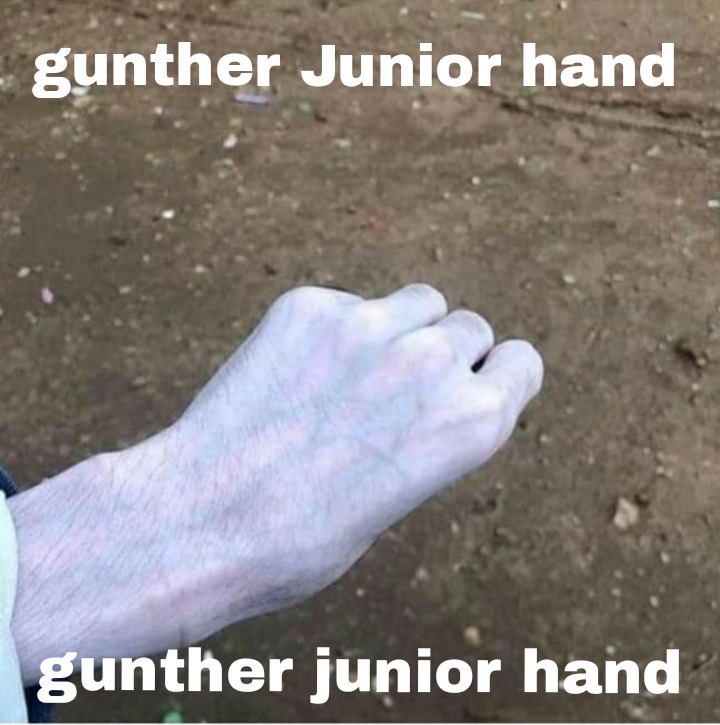Gunther - meme