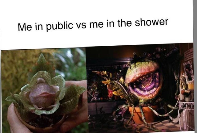 singing in the shower - meme