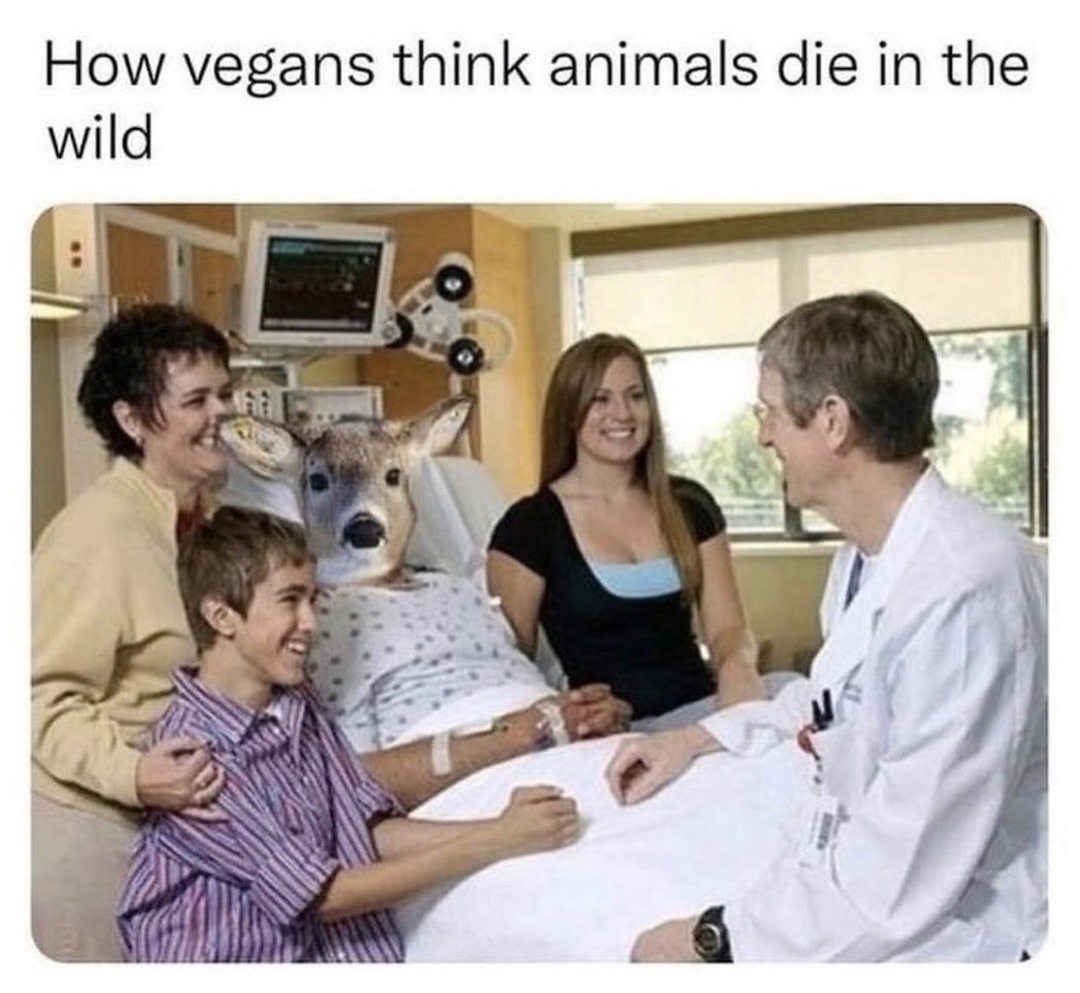 How vegans think animals die in the wild - meme