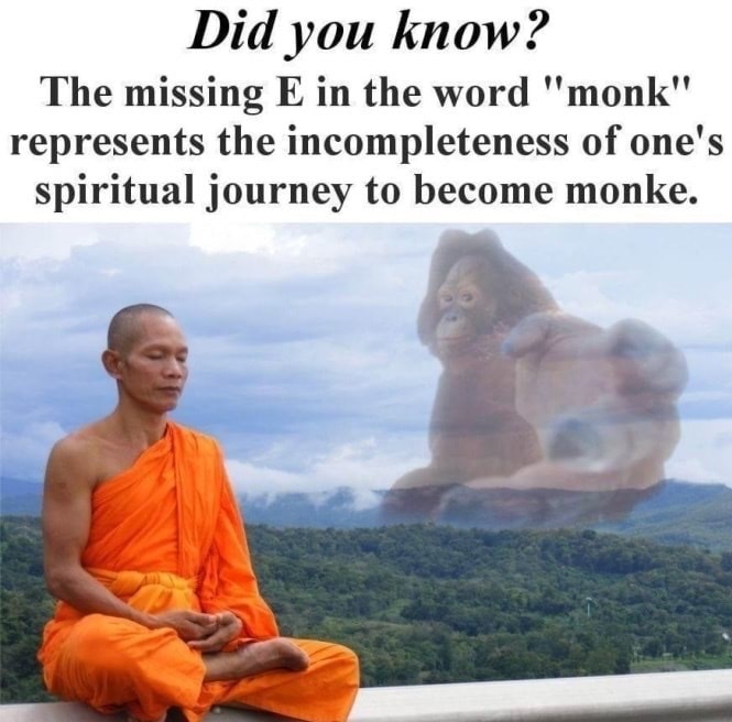 Monk(e) - meme