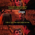 Men vs dogs