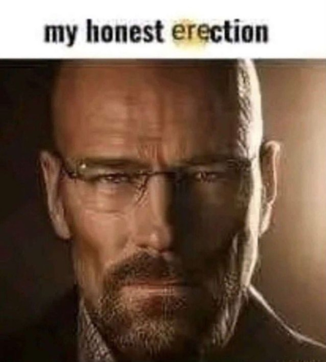 Errection meme