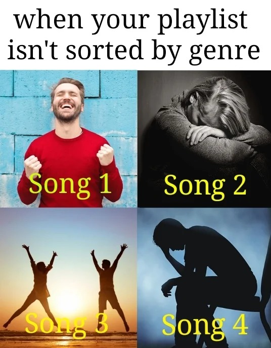 when your playlist isn't sorted by genre - meme