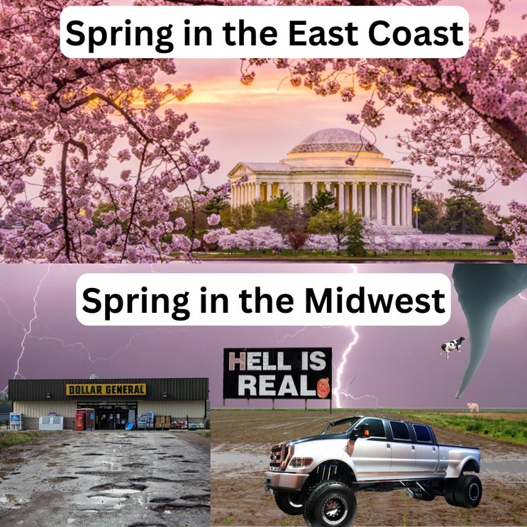dongs in a season - meme