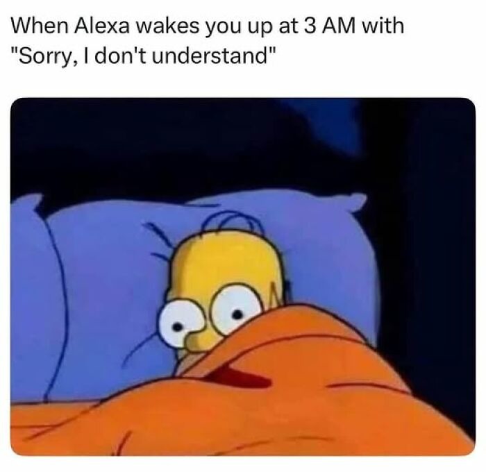 ﻿When Alexa wakes you up at 3 AM with “Sorry, | dontt understand”