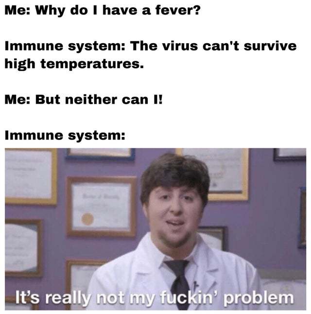 Why do I have a fever? - meme
