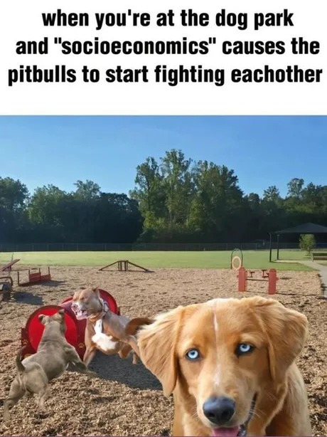 Dog park fights and socioeconomics - meme