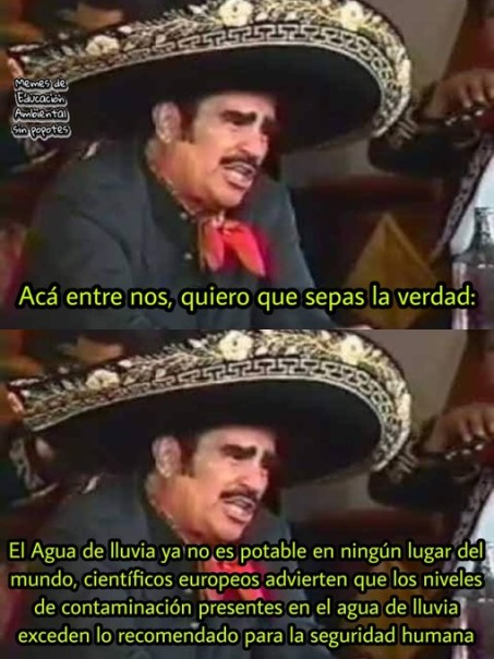 s - meme
