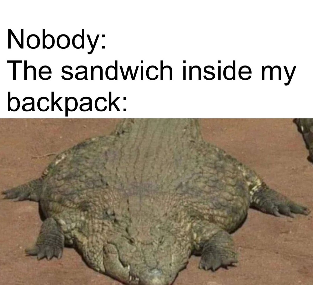 Sandwich meme